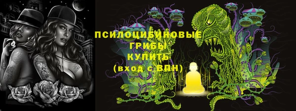 jwh Пересвет