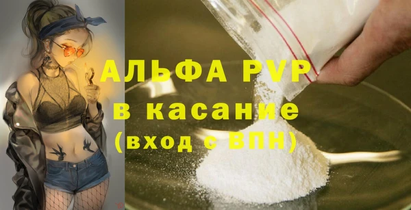 прущие грибы Переславль-Залесский