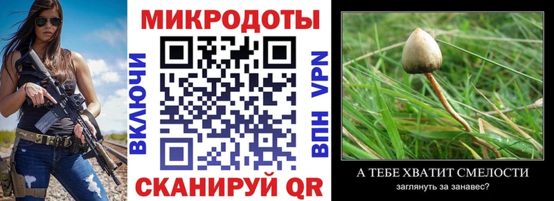 Галлюциногенные грибы Psilocybe  как найти закладки  Энем 
